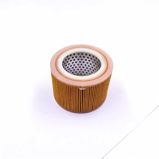 Original Factory High-Quality for Shacman Air Filter Element Assembly