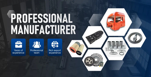 Factory Customized New Truck Parts Clutch Assembly Including Clutch Cover and Disc Model 310 1600200ld300