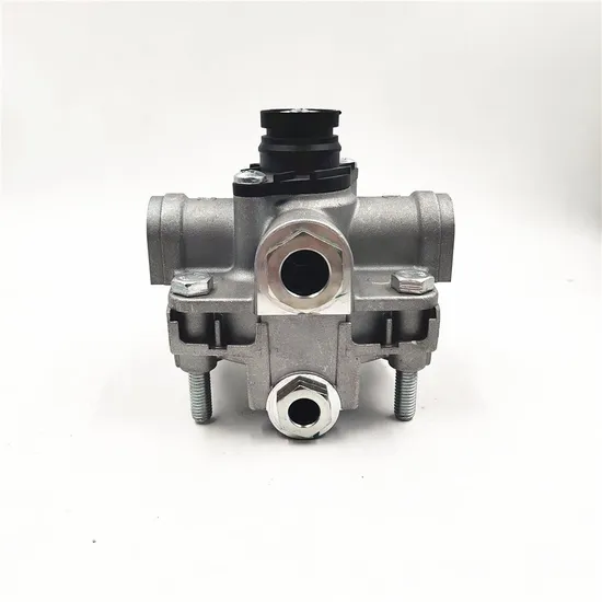 Technology Production Sc2203250010 371 Valve for Sinotruk HOWO 371 Use