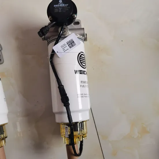 Shakeman X3000 Heavy-Duty Truck Spare Parts DC Air Filter Assembly Dz9625919178