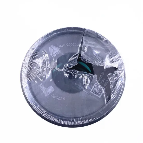 Raexon Air Filter Af1791 High Quality Filter Paper for Heavy Duty Trucks Long-Lasting Performance New Release