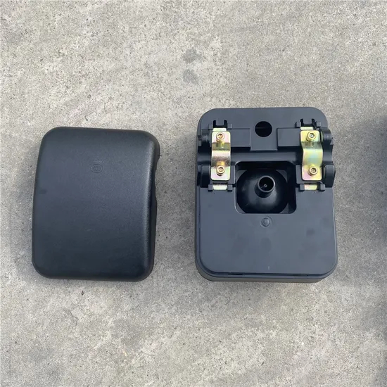 Good Quality Shacman Cabin Parts Door Left Shacman F3000