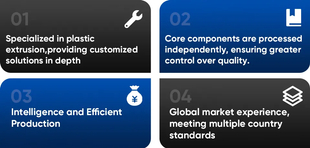 Factory Customized New Truck Parts Clutch Assembly Including Clutch Cover and Disc Model 310 1600200ld300