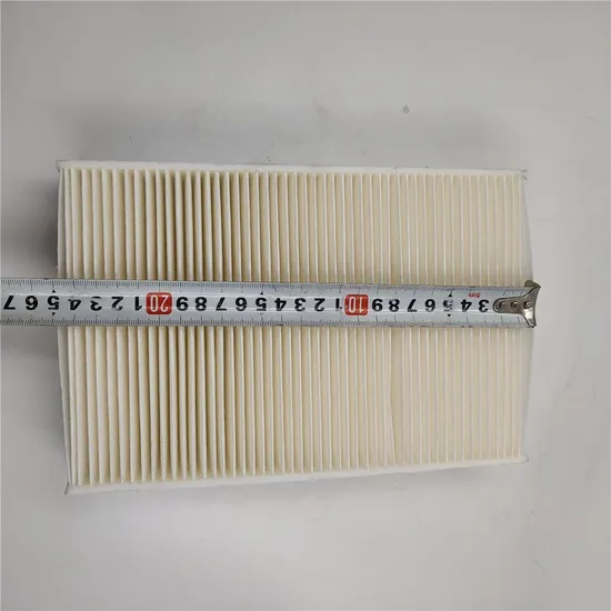 Weichai Wp7 Diesel Engine Air Filter 1000341970 for China Heavy Duty Truck HOWO Shacman